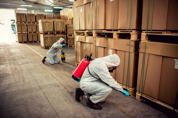 Best Commercial Pest Control Services  in Bellevue, KY