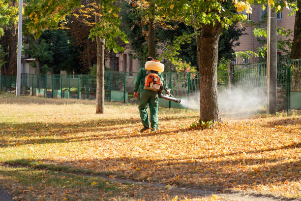 Best Pest Prevention Services  in Bellevue, KY
